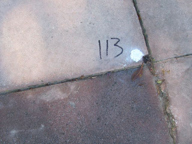 2-113