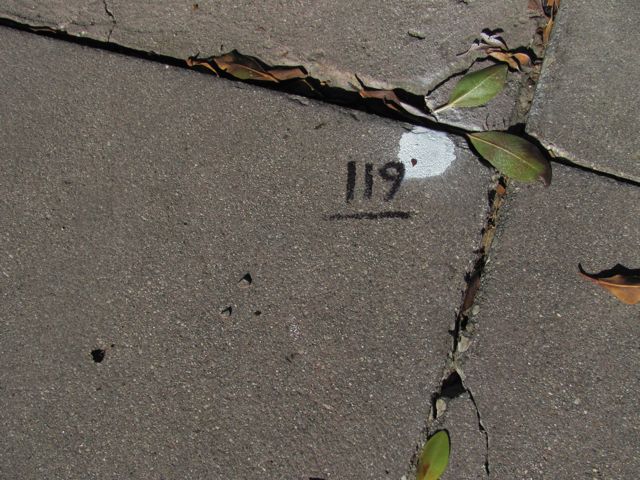 2-119