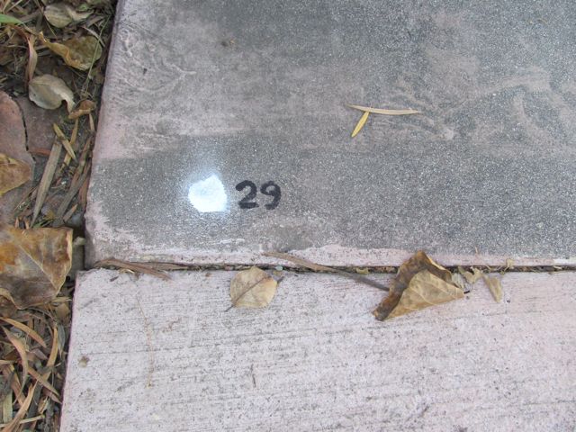 2-029