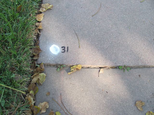 2-031