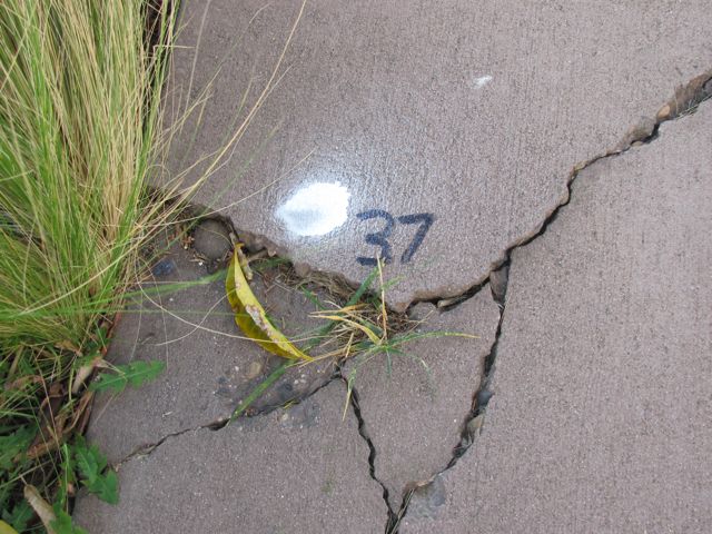 2-037