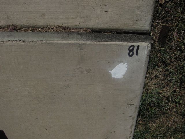 2-081