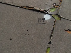 2-119