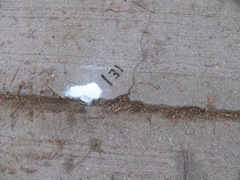 2-131