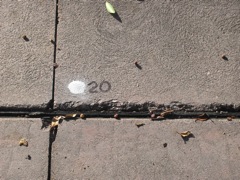 2-020