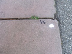 2-045