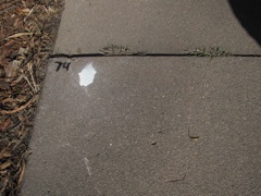 2-074