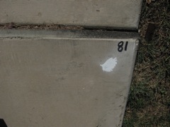 2-081