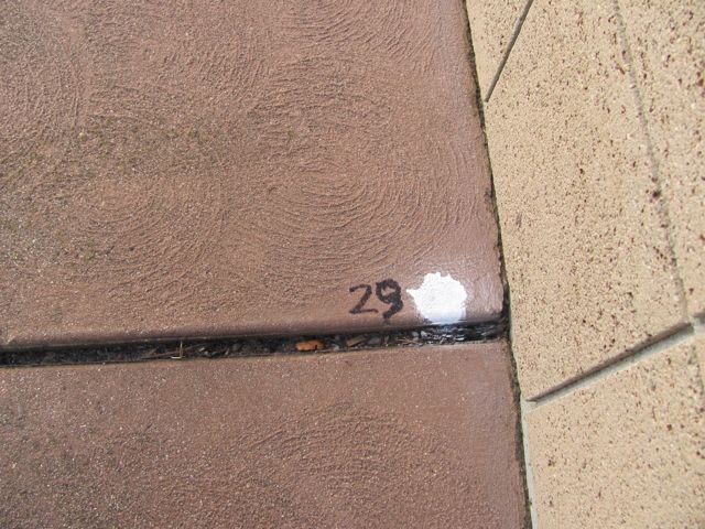 5-29