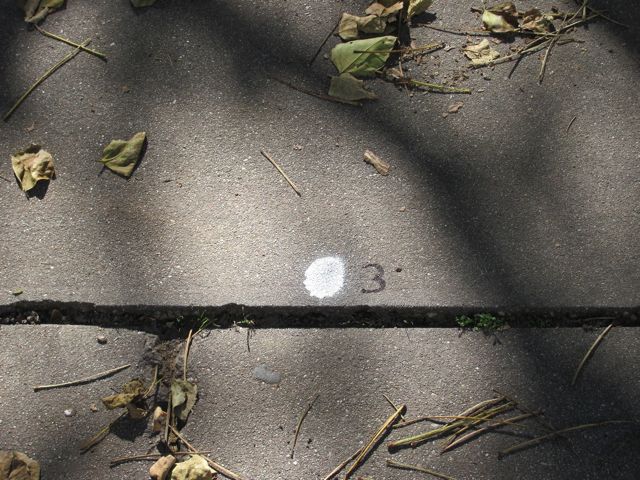 5-03