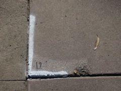5-19