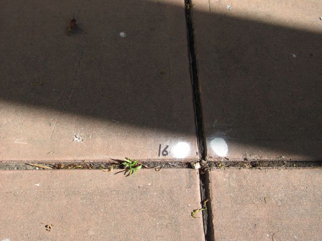 6-16