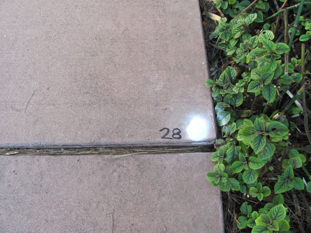 6-28
