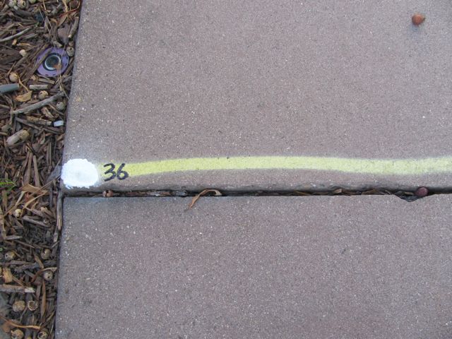 6-36