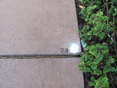 6-28