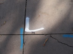 6-38